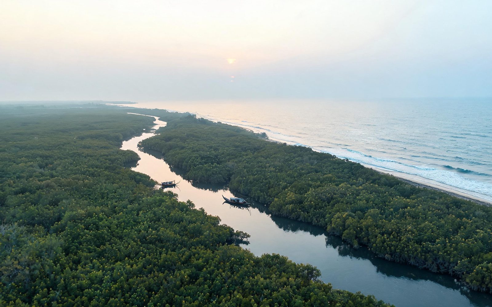 Aerial view of a mangrove coastline meeting open sea with small fishing boats